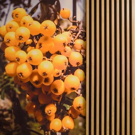 Czerwona Jarzebina Centrum