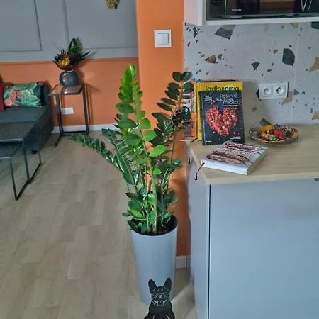 Czerwona Jarzebina Centrum