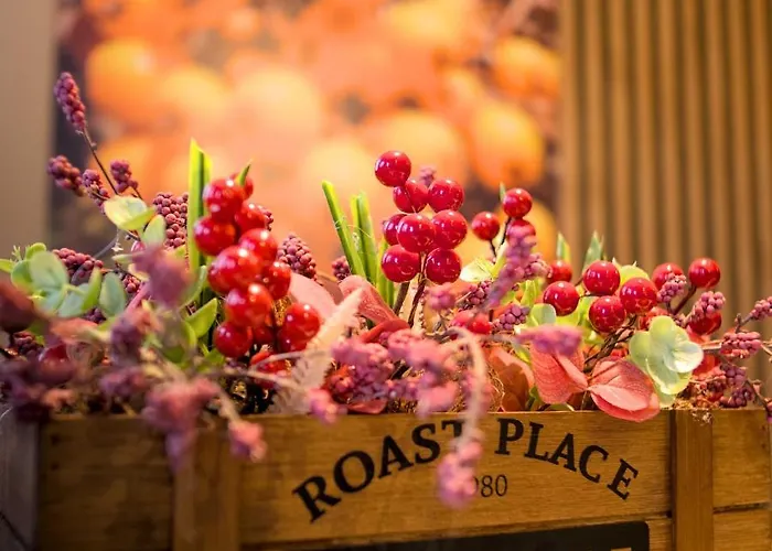 Czerwona Jarzebina Centrum Apartment *