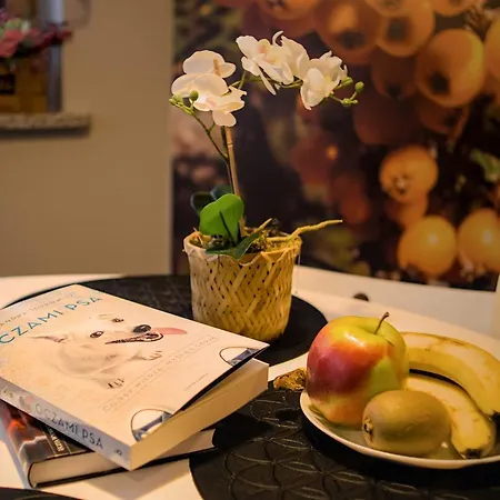Czerwona Jarzebina Centrum Apartament