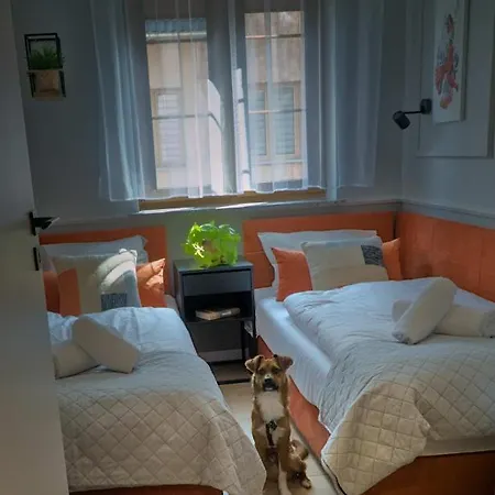Apartament Czerwona Jarzebina Centrum *