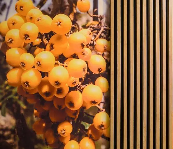 Czerwona Jarzebina Centrum