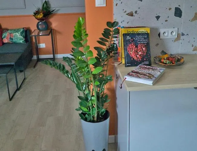 Czerwona Jarzebina Centrum